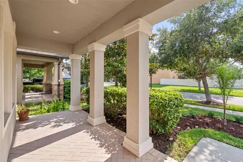 Exterior - 14256 Blue Dasher Dr, Riverview, FL 33569 photo 5 of 9