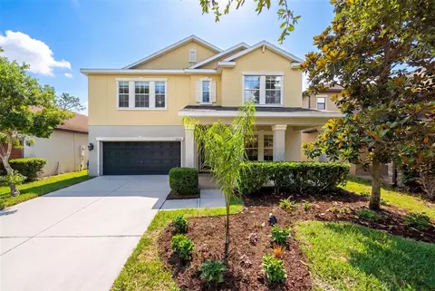 Exterior - 14256 Blue Dasher Dr, Riverview, FL 33569 photo 3 of 9