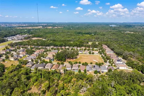 View/Area - 14256 Blue Dasher Dr, Riverview, FL 33569 photo 8 of 12