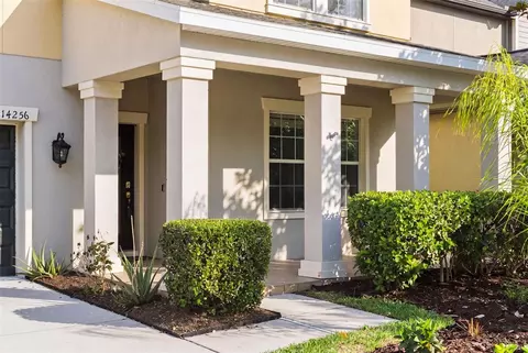 Exterior - 14256 Blue Dasher Dr, Riverview, FL 33569 photo 4 of 9