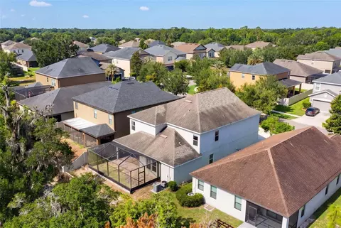 View/Area - 14256 Blue Dasher Dr, Riverview, FL 33569 photo 3 of 12