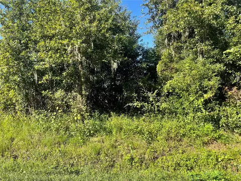 Pevetty Drive, Plant City, FL 33563