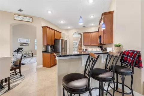 4460 Birchfield Loop, Spring Hill, FL 34609 photo 14