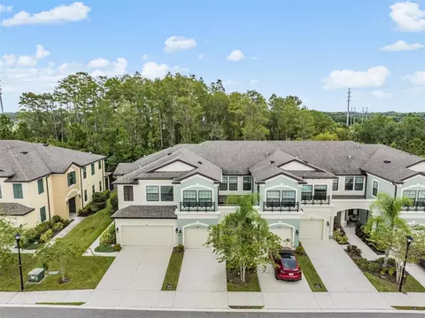 9248 Fox Sparrow Rd, Tampa, FL 33626