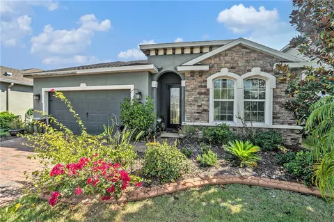 12250 Blue Pacific Dr, Riverview, FL 33579 photo 1