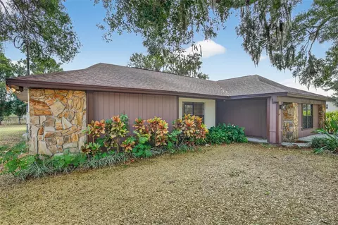 1825 Streetman Dr, Lithia, FL 33547