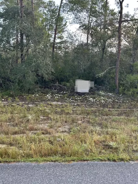 17213 SW 28th Ave, Ocala, FL 34473