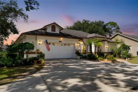 22938 Sterling Manor Loop, Lutz, FL 33549