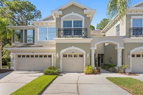 14137 Waterville Cir, Tampa, FL 33626