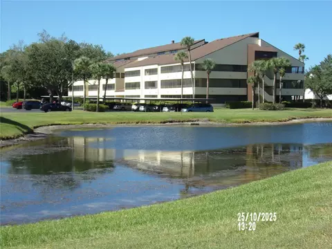 13612 S Village Dr #5307, Tampa, FL 33618