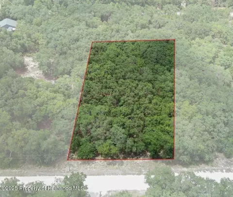 33175 Faculty St, Webster, FL 33597