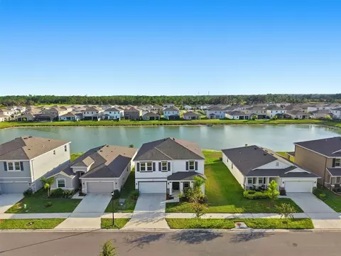 33634 Garden Sage Isle, Wesley Chapel, FL 33545