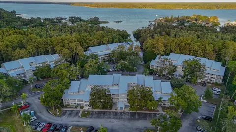 2599 Dolly Bay Dr #308, Palm Harbor, FL 34684