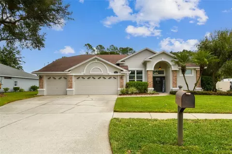 17112 Downs Dr, Odessa, FL 33556