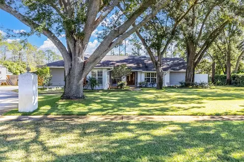 17602 Simms Rd, Odessa, FL 33556