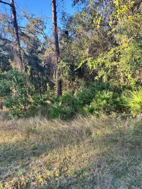 33193 Easter Dr, Webster, FL 33597 photo 3