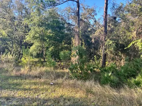 33193 Easter Dr, Webster, FL 33597 photo 5