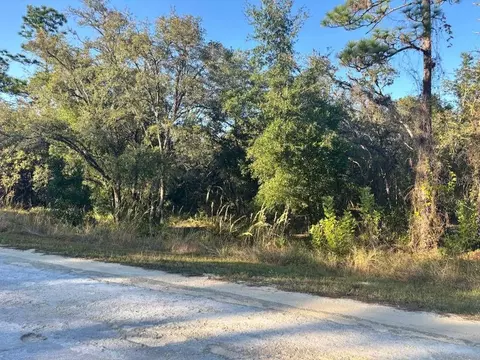 33193 Easter Dr, Webster, FL 33597 photo 6