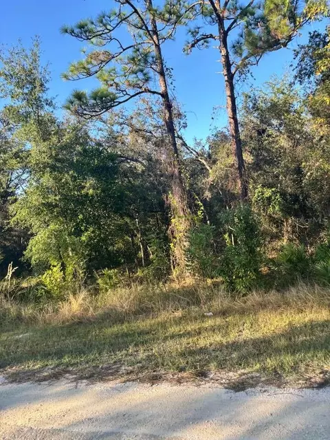 33193 Easter Dr, Webster, FL 33597 photo 4
