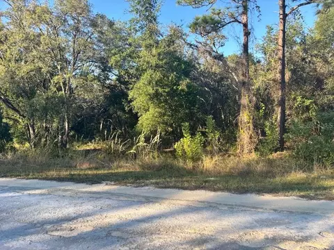 33193 Easter Dr, Webster, FL 33597