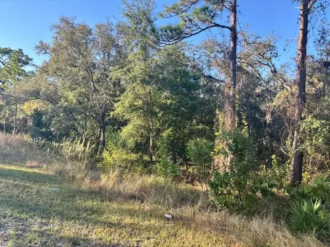 33193 Easter Dr, Webster, FL 33597 photo 2