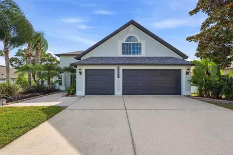 4746 Carroway Dr, Land O Lakes, FL 34639