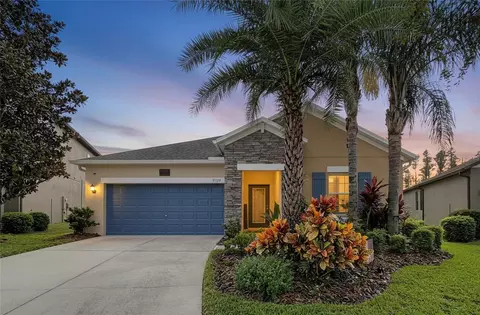 19210 Alexandrea Lee Ct, Land O Lakes, FL 34638