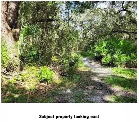 Lantana Avenue, Clearwater, FL 33755