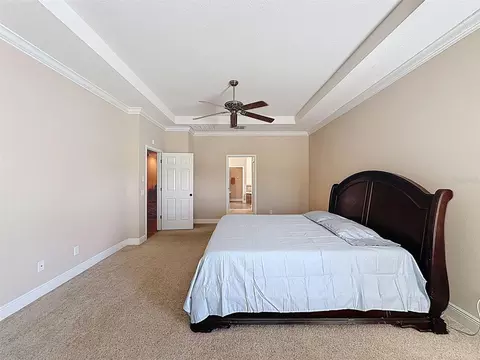 Bedroom - 335 Cockle Shell Loop, Apollo Beach, FL 33572 photo 3 of 10