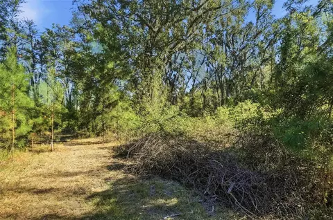 Sw Paradise Way Sw, Greenville, FL 32331