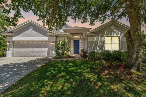 19204 Wind Dancer St, Lutz, FL 33558