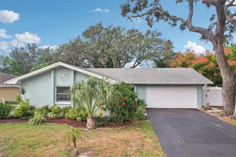 1118 Carlton Rd, Tarpon Springs, FL 34689