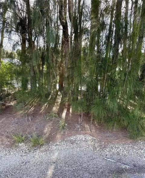 0 Jills Ln, Aripeka, FL 34679