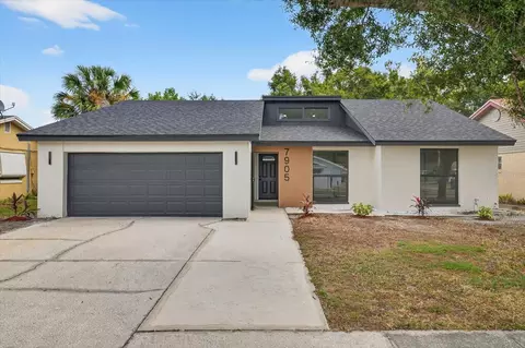 7905 Timberlane West Dr, Tampa, FL 33615