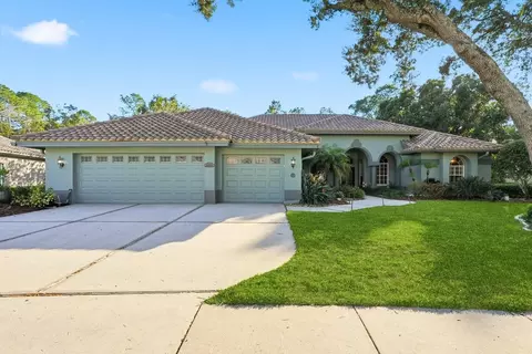 4954 Turtle Creek Trl, Oldsmar, FL 34677
