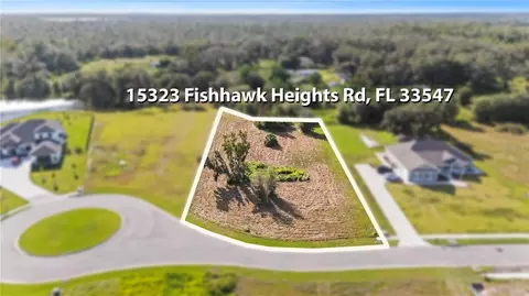 15323 Fishhawk Heights Run, Lithia, FL 33547