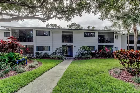 3277 Fox Chase Cir N #206, Palm Harbor, FL 34683