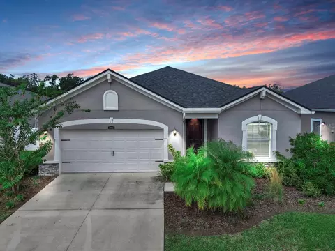 12905 Satin Lily Dr, Riverview, FL 33579