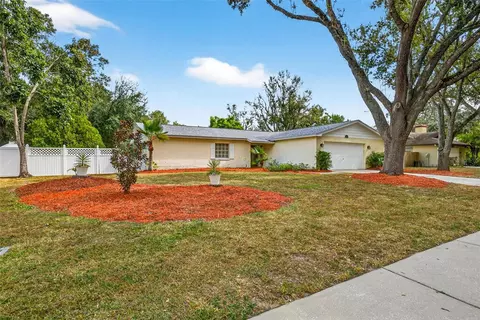 11009 Cinderlane Pl, Temple Terrace, FL 33617