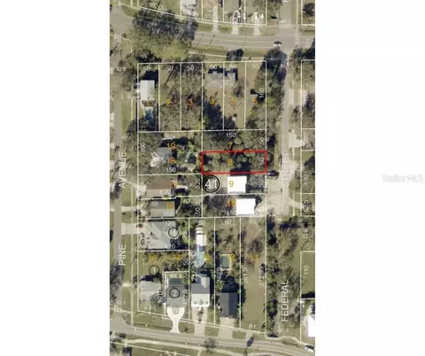502 Federal St, Oldsmar, FL 34677