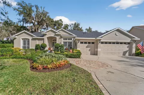 16022 Ternglade Dr, Lithia, FL 33547