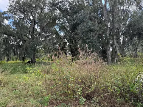 3721 Porter Rd, Lithia, FL 33547 photo 9