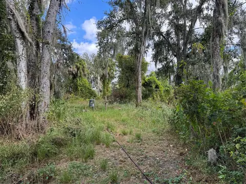 3721 Porter Rd, Lithia, FL 33547 photo 3