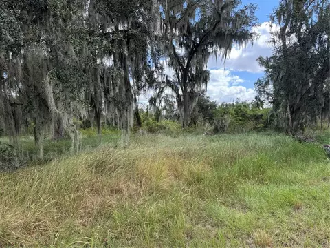 3721 Porter Rd, Lithia, FL 33547 photo 4