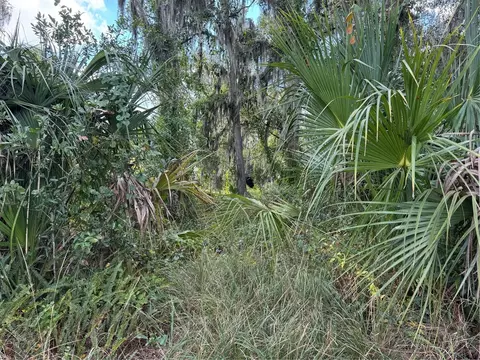 3721 Porter Rd, Lithia, FL 33547 photo 7