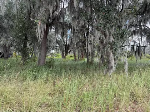 3721 Porter Rd, Lithia, FL 33547 photo 5
