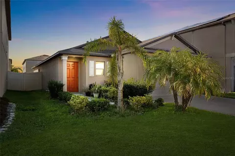10205 Cool Waterlily Ave, Riverview, FL 33578