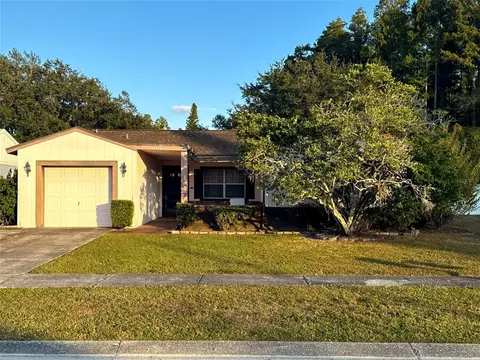 14003 Basin St, Tampa, FL 33625