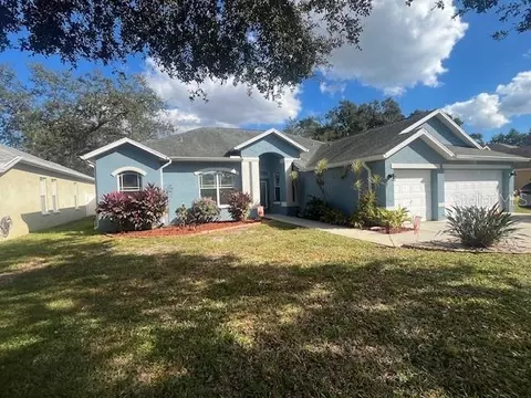1115 Lumsden Trace Cir, Valrico, FL 33594