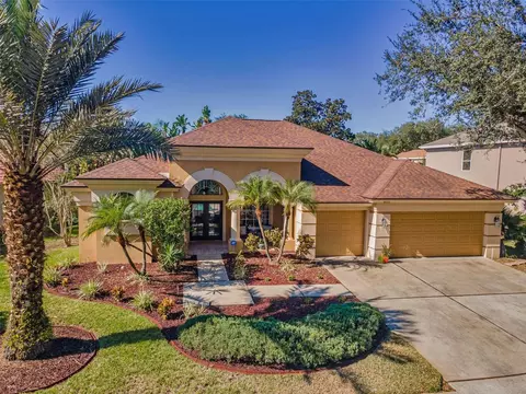 4055 Ligustrum Dr, Palm Harbor, FL 34685